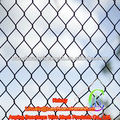 Chain link fence with PVC coated